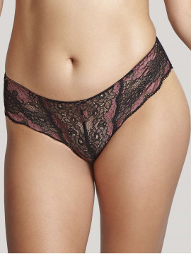 Panache Clara Black/Fig Brief